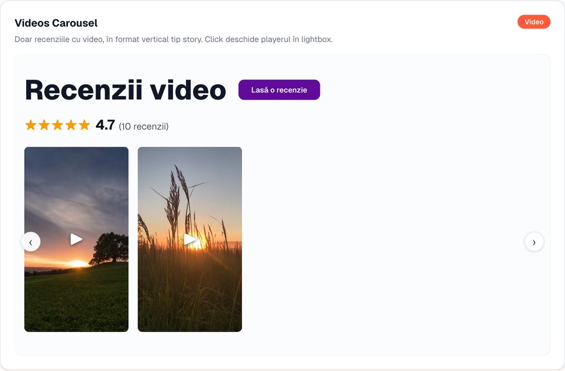 Recenzii: Carusel video